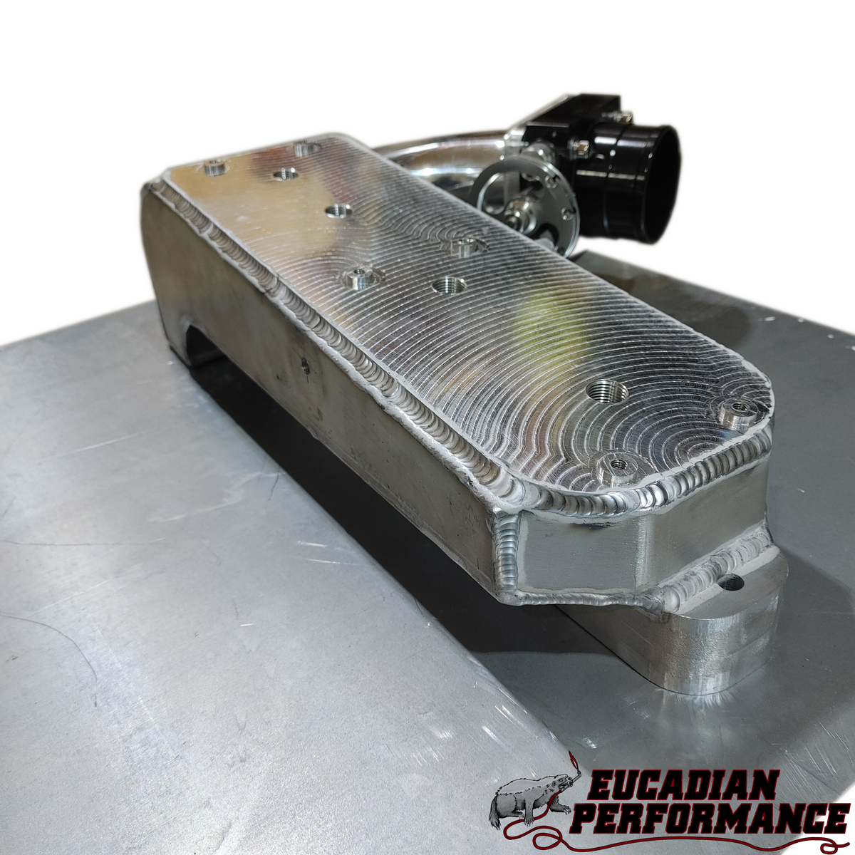 300ZX (Z31) Kingfisher Plenum – With Idle Controls (VG30/VG33)